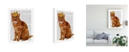 Trademark Global Fab Funky Ginger Cat with Crown Canvas Art - 36.5" x 48"